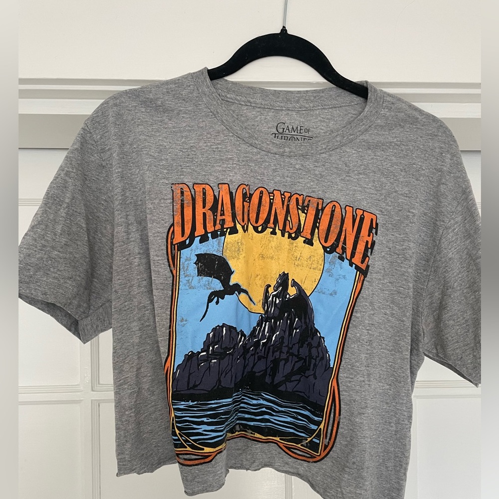 Gray Game of Thrones Dragonstone crop top size L